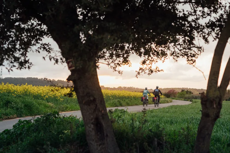 Orbea Kemen SUV 10 Electric Hybrid Bike in Mango - Large-2